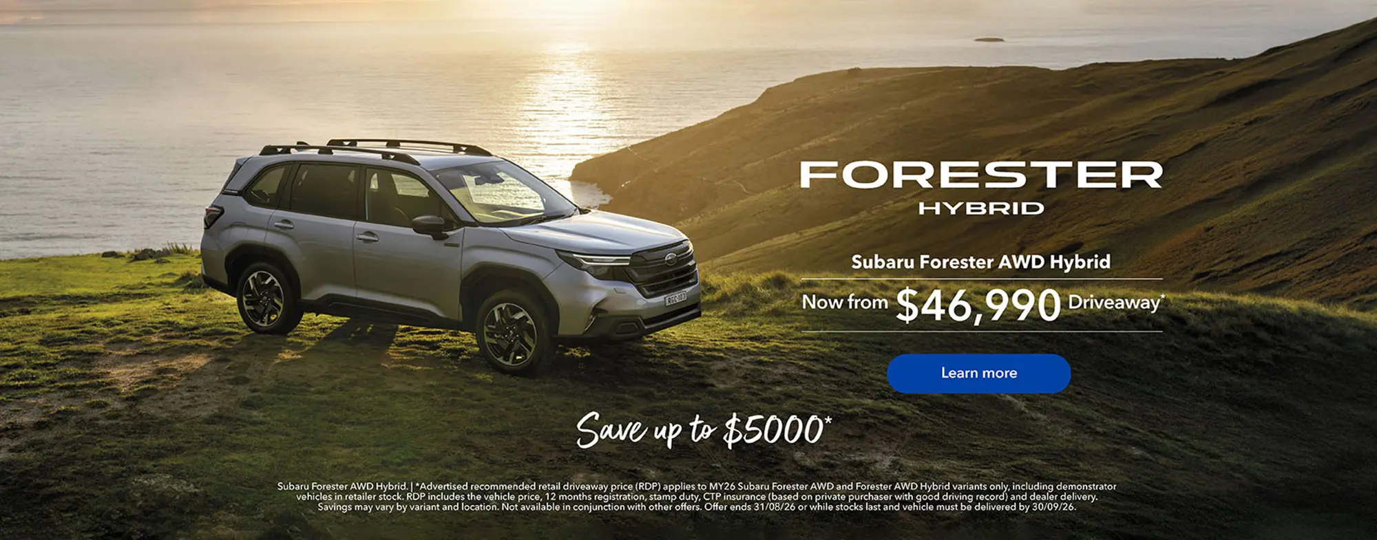Forrest Hybrid Offer Hp